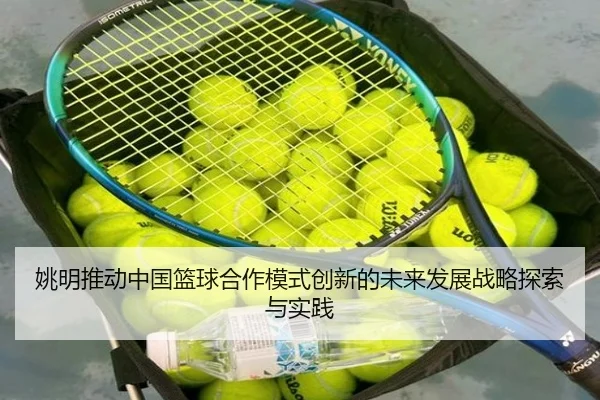 yao-ming-tui-dong-zhong-guo-lan-qiu-he-zuo-mo-shi-chuang-xin-de-wei-lai-fa-zhan-zhan-lve-tan-suo-yu-shi-jian-2-257.jpg